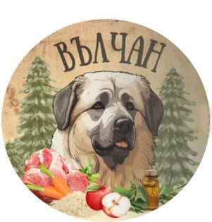 Вълчан