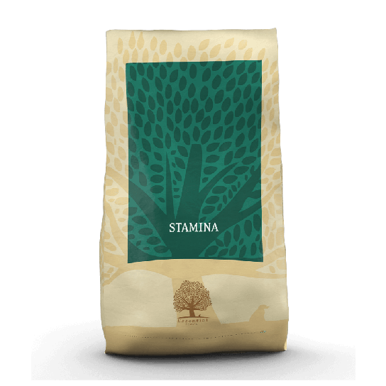 ESSENTIAL STAMINA -високоенергийна за активни кучета над 1г. или кърмещи, средни/големи породи, 10кг - - Zoolink ESSENTIAL STAMINA -високоенергийна за активни кучета над 1г. или кърмещи, средни/големи породи, 10кг - - Zoolink