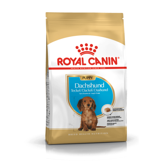 Royal Canin Dachshund Puppy 1.5Kg -  - Zoolink