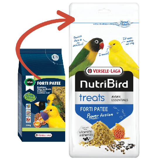 Versele Laga Treats Forti Patee - енергийна мека храна с мед за канари, финки, папагали, 250г -  - Zoolink