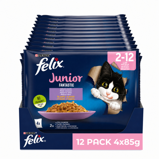 12бр. Purina Felix Fantastic JUNIOR за малки котенца, Микс от вкусове в желе, Пиле, 4х85g -  - Zoolink