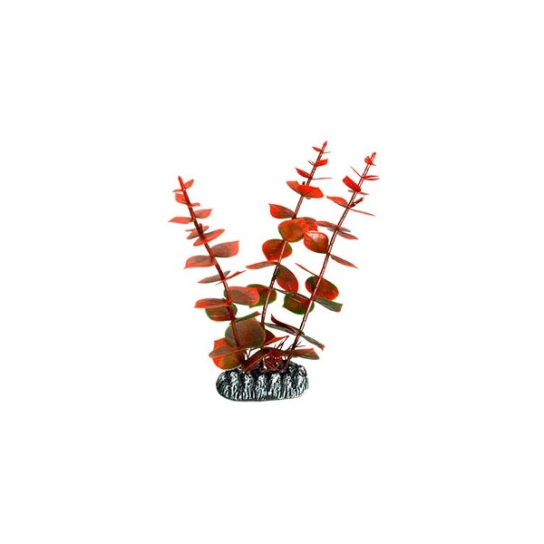Flamingo cuba orange m -  - Zoolink