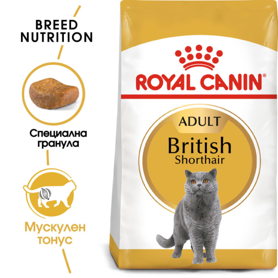 Royal Canin British Shorthair 10Kg -  - Zoolink