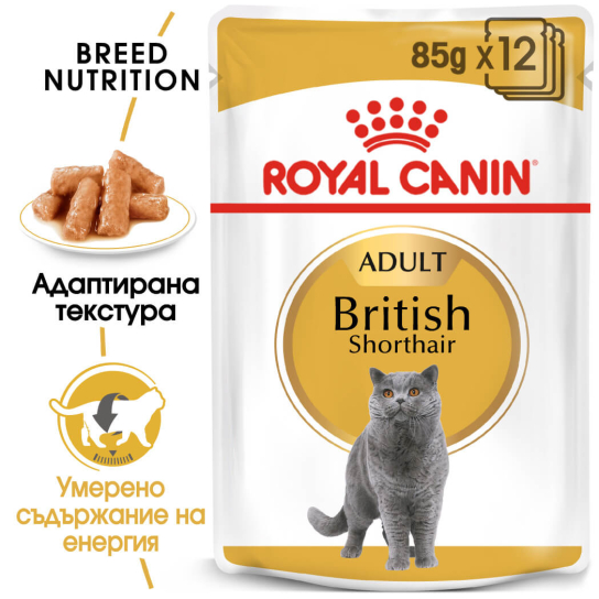 Royal Canin British Shorthair Pouch 12x85g -  - Zoolink