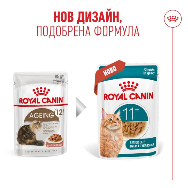 Royal Canin Ageing 11+, 12x85g main product photo
