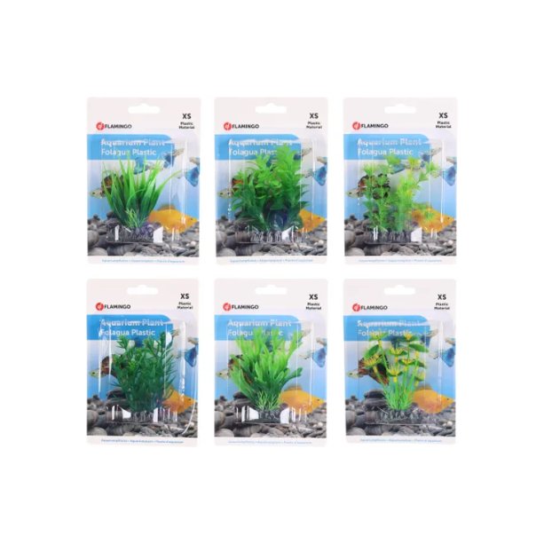 Flamingo растение за аквариум main product photo