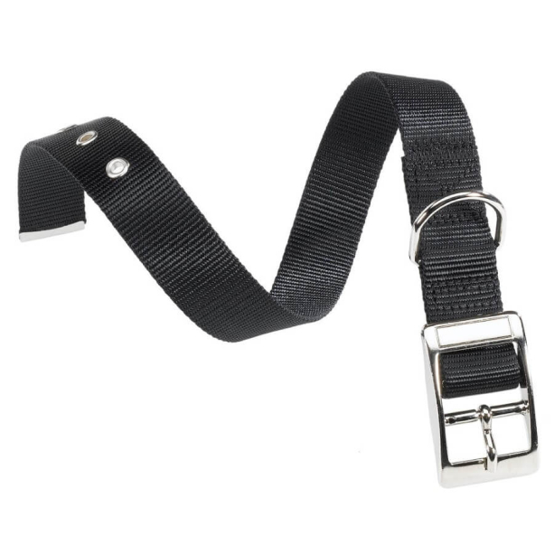 FERPLAST CLUB CF20/43 - нашийник за куче с катарама, черен - 20мм, врат: 35-43см main product photo