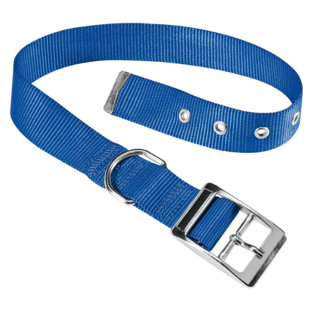 FERPLAST CLUB CF25/45 - нашийник за куче с катарама, син - 25мм, врат: 37-45см main product photo
