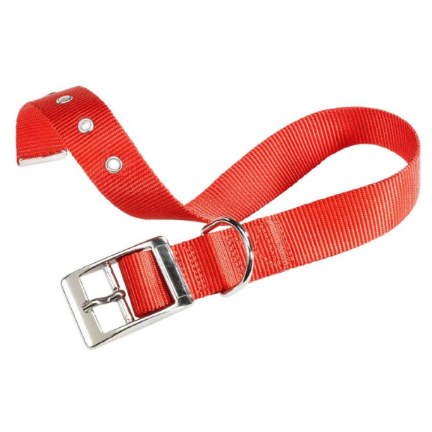 FERPLAST CLUB CF25/53 - нашийник за куче с катарама, червен - 25мм: 45-53см main product photo