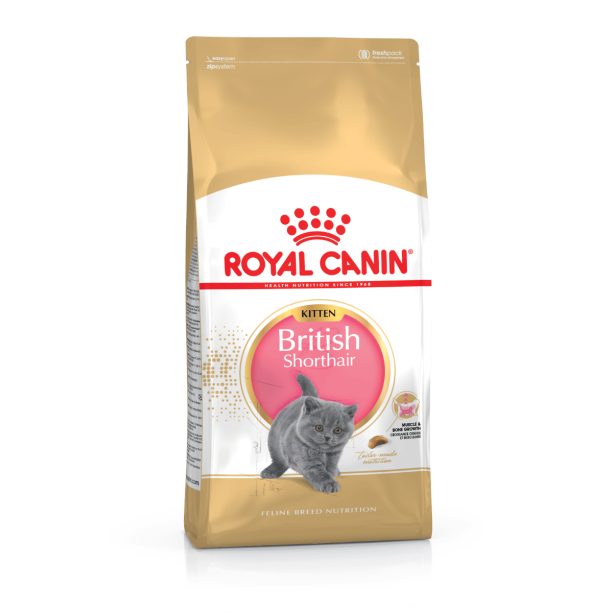 Royal Canin British Shorthair Kitten 10Kg main product photo