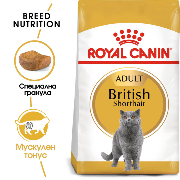 Royal Canin British Shorthair 10Kg main product photo
