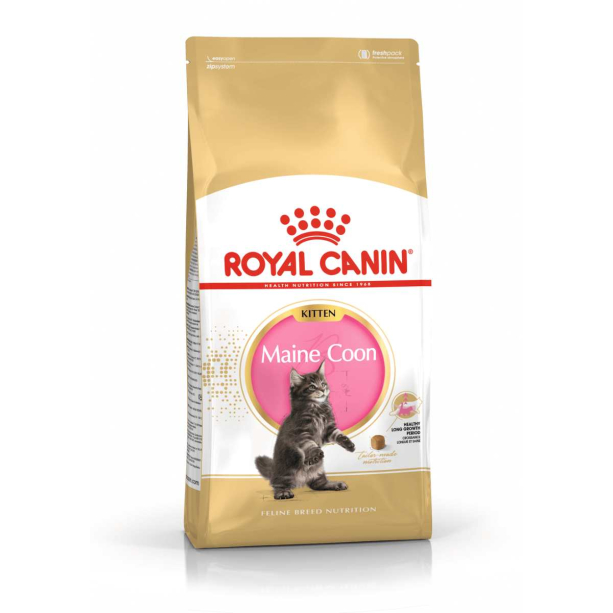 Royal Canin Maine Coon Kitten 2Kg main product photo