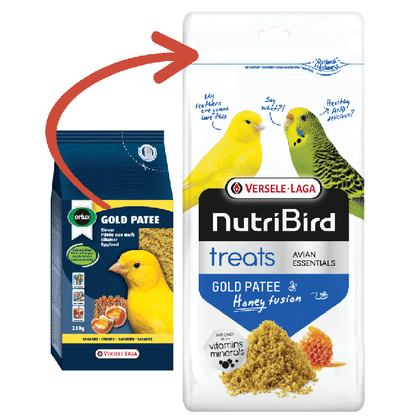 Versele Laga Treats Gold Patee Canaries - мека яйчна храна с мед за жълти канари, 250г main product photo