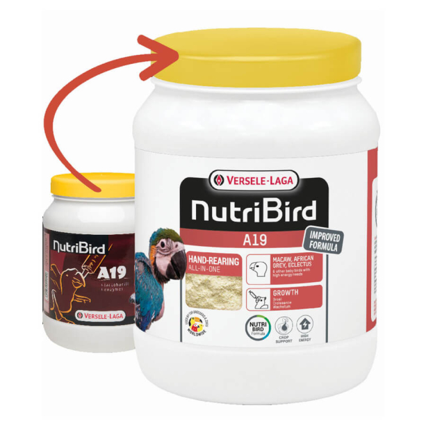 Versele Laga NUTRIBIRD A19 for birds - за ръчно хранене на големи папагали 800g main product photo