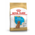 Royal Canin Poodle Puppy 500g