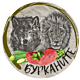 Бурканите