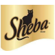 Sheba