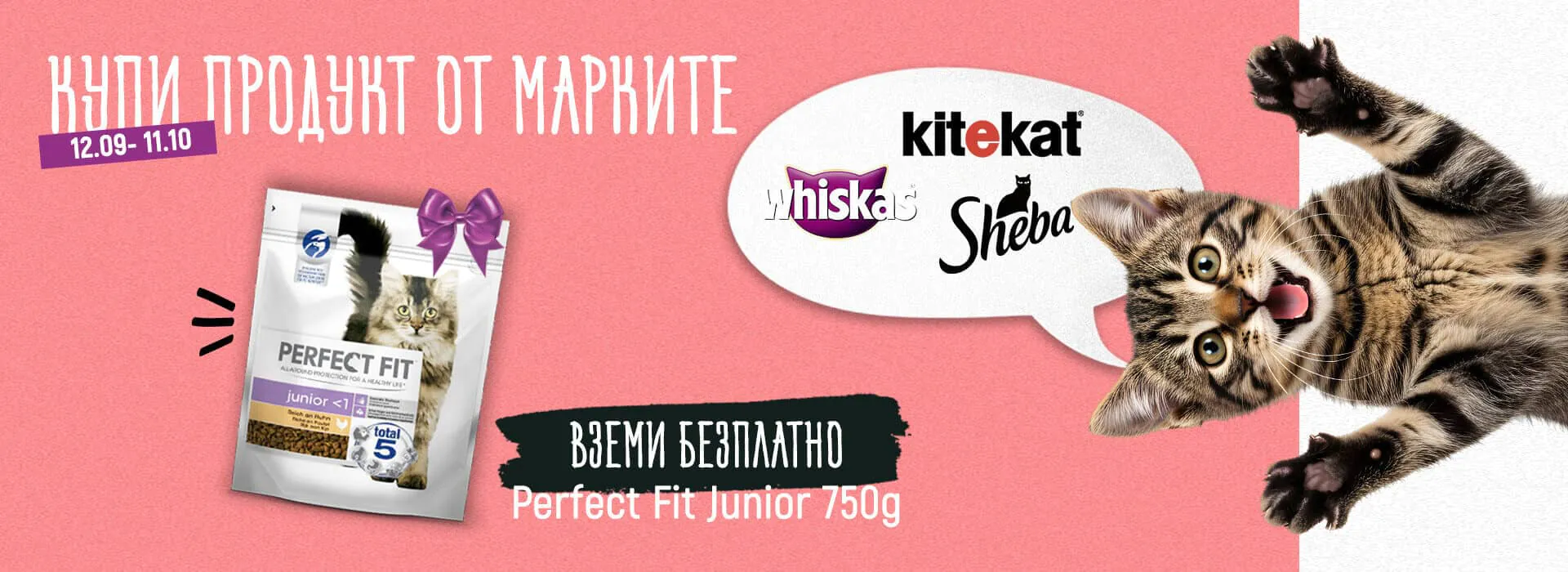 Cat Promo 05.09 - 04.10
